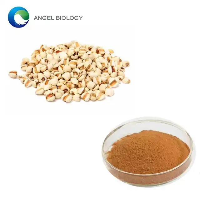 Coix Seed Extract Powder for Skin Hydration and Elasticity